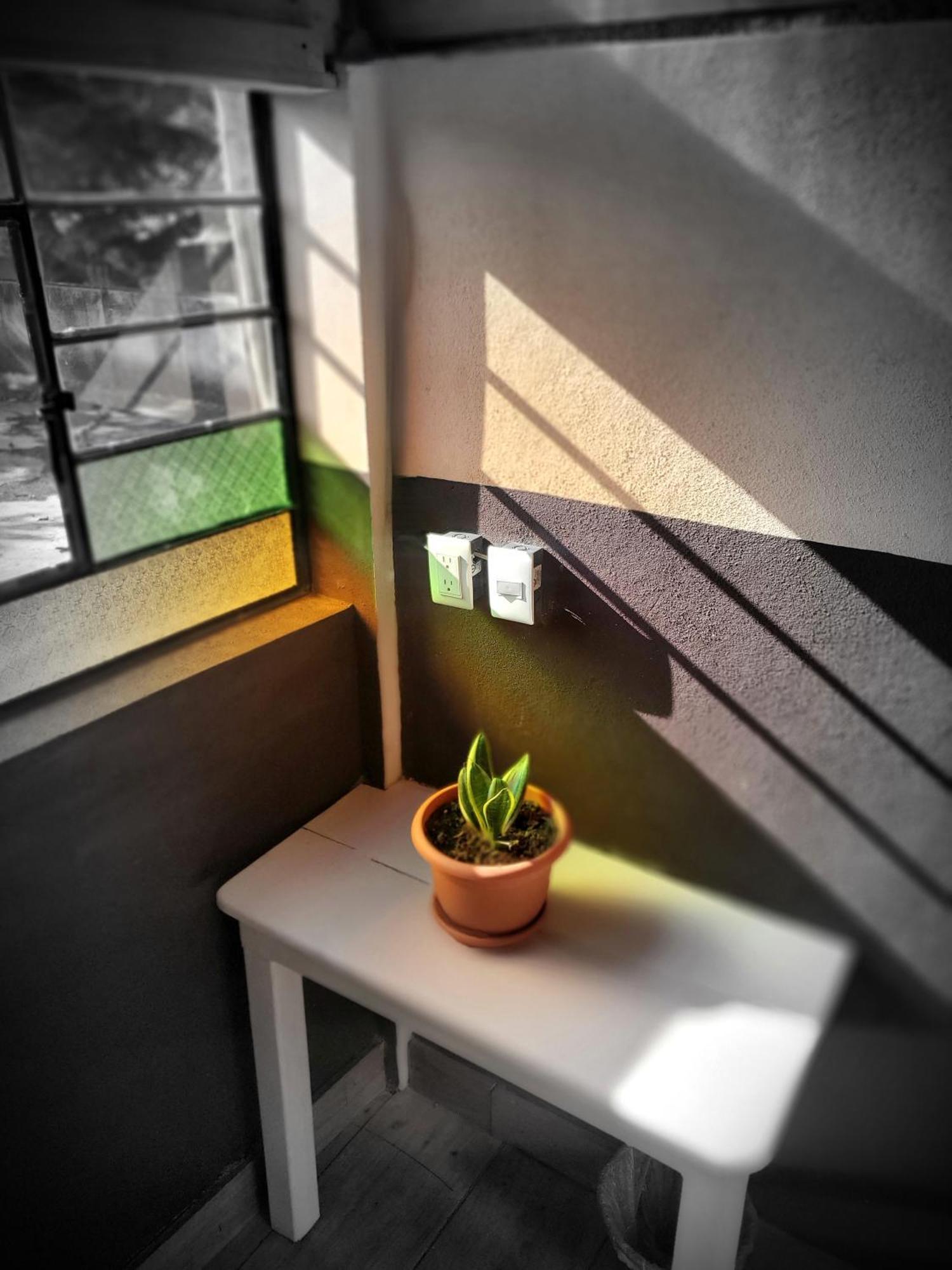 מלון סנטה קרוז לה לגונה Art & Coffee חדר תמונה